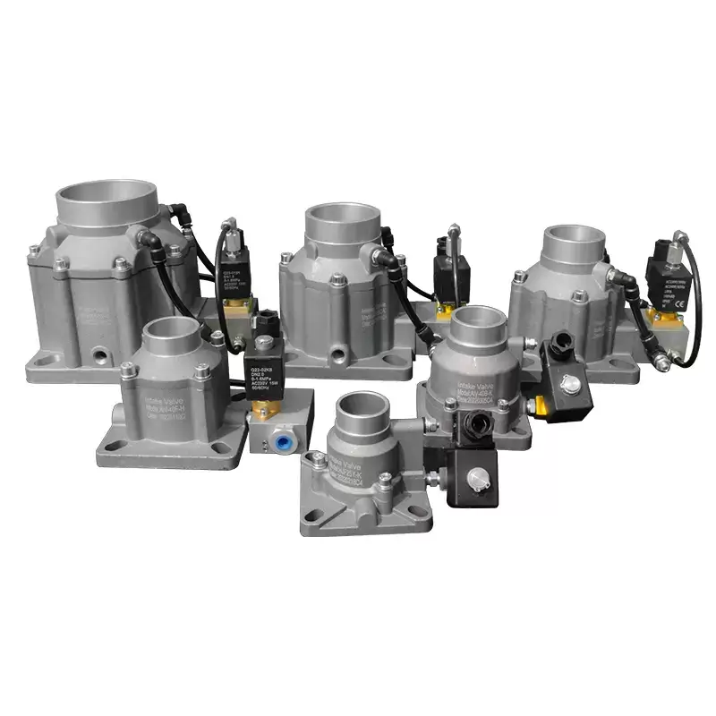 Intake Valve
